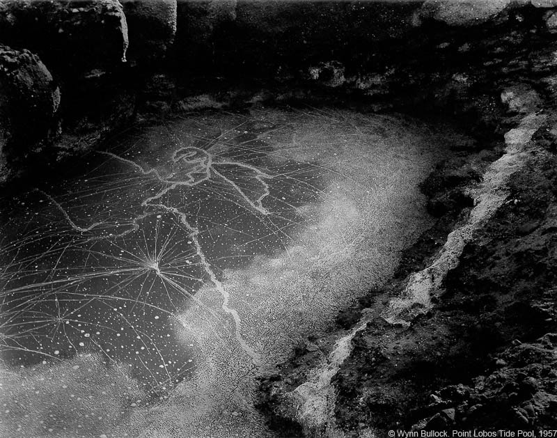 Wynn Bullock - Point Lobos Tide Pool, 1957