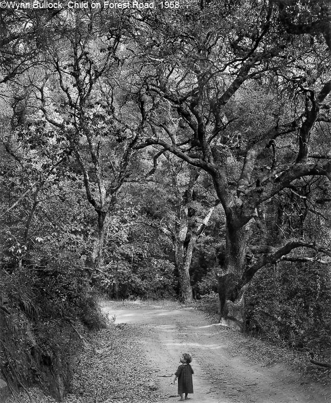 Wynn Bullock - Child on Forest Road, 1958