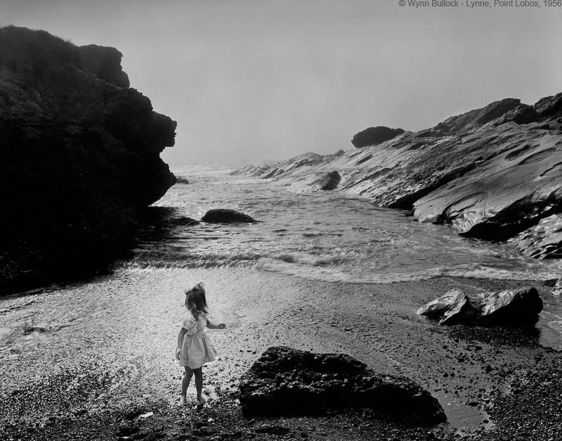 Lynne Point Lobos 1956