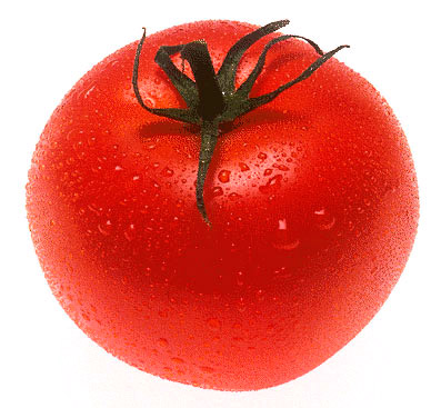 /media/upload/images/city/2012/october/tomato.jpg