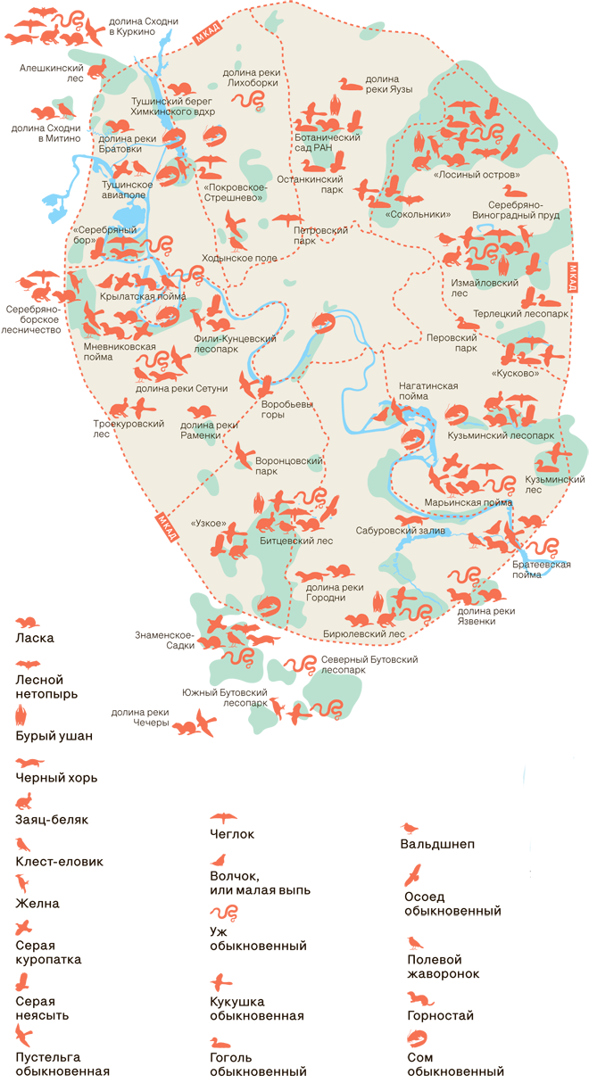 Карта расселения редких зверей и птиц