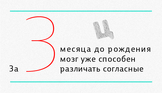 мозг5