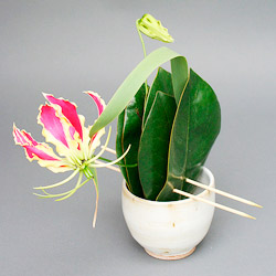 /media/upload/images/education/2013/March/ikebana.jpg