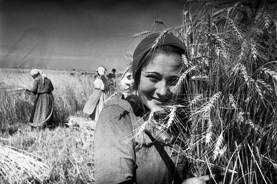 Центр фотографии братьев Люмьер