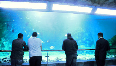 oceanarium