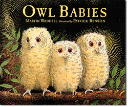 owl_babies.png