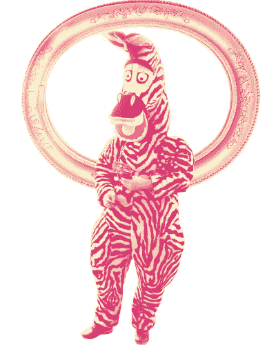 zebra