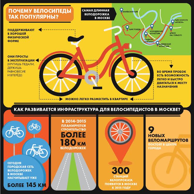 Инфографика про велодорожки