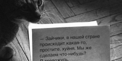 Ситро, леденец и лесенка прощаются с вами