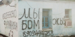 Дневники волонтеров. Марина Светлая
