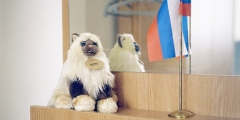 Анатомия чиновника. Карьера