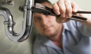 Какие услуги популярны у москвичей